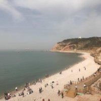 夏志阳