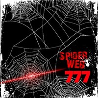 Spider Web