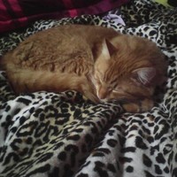 Martha Lucía Pulido Pinzón