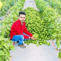 Satish Khade