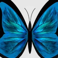 Morpho Marketing