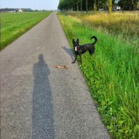 Theo Donkersloot