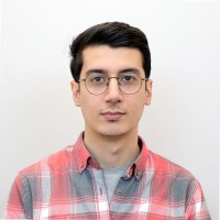 Mohammad reza Amini