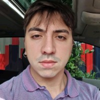 Fabio Zanin Domingues