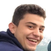 Ali Rajaee