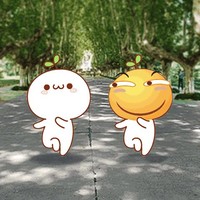 张泽程