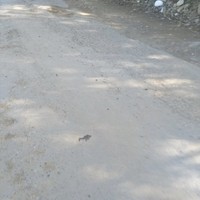 Kuldeep Kunar