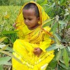 Anowar Hosain