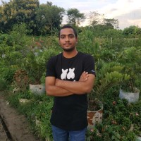 Mehedi Hasan Shifat