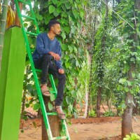 Hemanth P