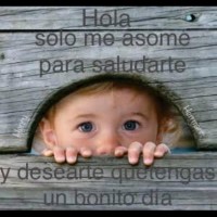 mktjss slmn