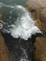 何少波