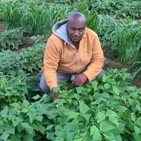 Francis Mbugua
