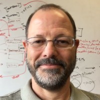 Rick Wilson