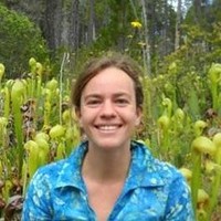 Heather Root