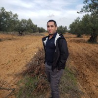 Karim Mili