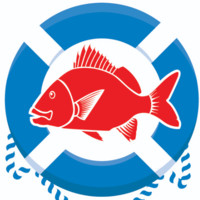 Ferg's Fish