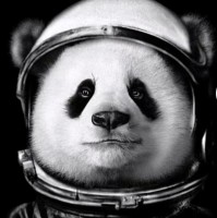 Bryan Xin