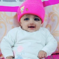 Gul E Anmol
