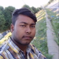 Bishwajit Srkar