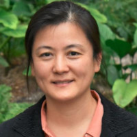 Jasmine Chai