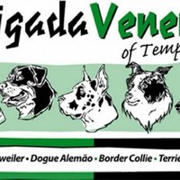Brigada Veneno of Temptation