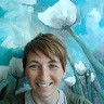 Gail Rhyno