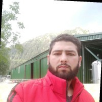 Nadir Ali Mir