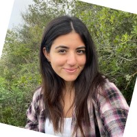 Adi Amar