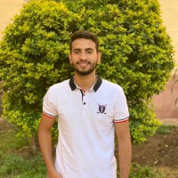 Mostafa Mady