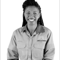 Asiphile Mavumengwana