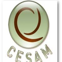 CESAM FORMATION
