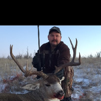 Todd Knull