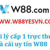 W Yesvn