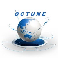 OCTUNE IT SERVICE PROVIDER