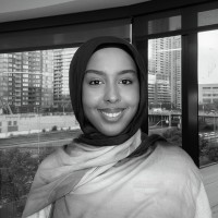 Hanan Ali