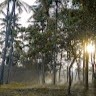 Sk നാണി