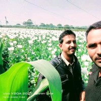 Rajesh Kumar