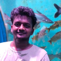 Ravi Kumar Girish