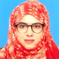Bibi Kubra