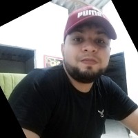 Luis David Torres C