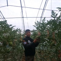 巴桑顿珠