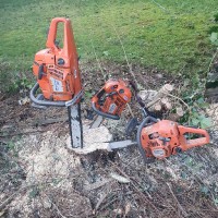 Joseph Fitzgerald - Grimsby Tree and Branches