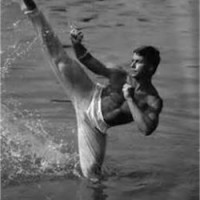 Brian Bauer