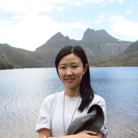 Jieli Xie