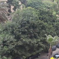 Hany Hussein