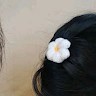 Đỗ Mai Ngọc Thanh