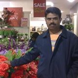 Shanmugavel Muthusamy