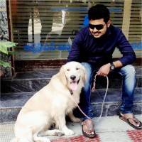 Ajay Tarock