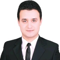 Mohamed Amer